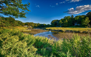 Hudson river forest autumn sky - a lush green forest free wallpaper