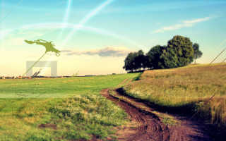 Kite flying over green field - a kite free wallpaper