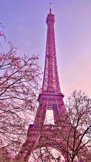 Eiffel tower pink trees flowers - impressionist free wallpaper