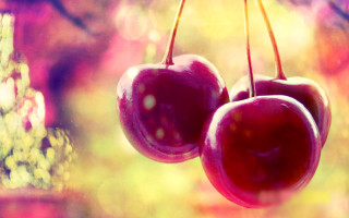 Three cherries window sill sunset - background of trees free wallpaper