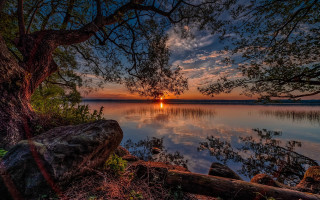 Sunset lake tree rock autumn - a tree in the foreground free wallpaper