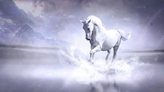 White horse water mountains starry - a white horse free wallpaper