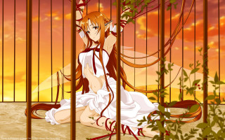 White dress woman caged sunset - a plant free wallpaper
