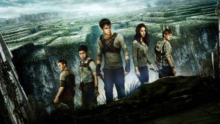Maze woods city man group - eden box free wallpaper