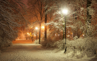 Snowy path street light moonlit - atmospheric free wallpaper