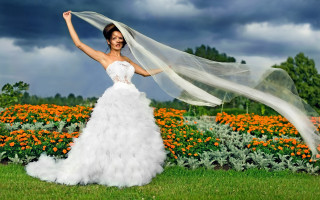 Woman white dress veil flower - a white dress holding free wallpaper