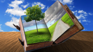 Storybook illustration sunny tree road - a book free wallpaper