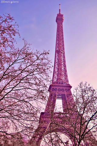 Pink eiffel tower paris blooming - impressionist free wallpaper