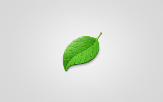 Green leaf water drops shadow - drop of water free wallpaper