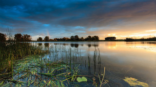 Lake grass clouds dusk mountains - a sky free wallpaper