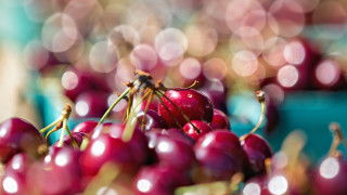 Cherry bowl water drops precisionism - a bowl free wallpaper