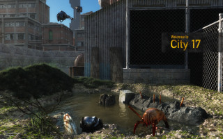 City 17 animals water architecture - a city free wallpaper