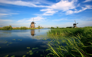 Windmills lake greenfield waterlilies sky - lush free wallpaper