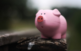 Pink pig wooden fence post - a wooden fence post free wallpaper