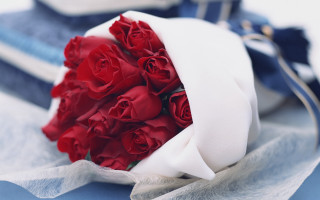 Red roses white ribbon blue - red rose free wallpaper