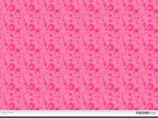 Pink hearts netart screenshot whiteborder - a white border free wallpaper