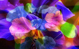 Mystical bouquet glowing butterfly crystal - mystical free wallpaper