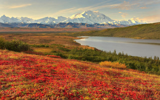 Mountain lake autumn flowers sunset - red flower free wallpaper