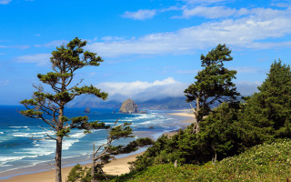 Beach trees mountain clouds ocean - widescreen free wallpaper
