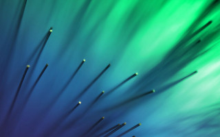 Needles blue green background green - yellow tip free wallpaper