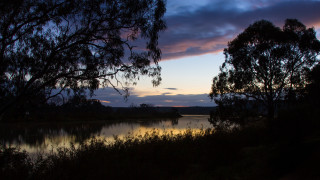 Lake sunset trees clouds autumn 4 - tree and a sunset in the background free wallpaper