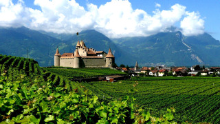 Medieval castle green field mountains - a green field free wallpaper