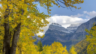 Mountain range autumn leaves snow - a few yellow leaf free wallpaper