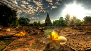 Flower temple sky clouds lake - andrew law free wallpaper