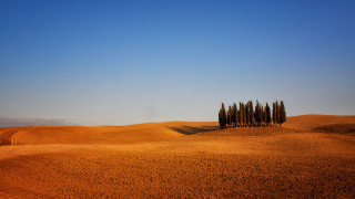 Desert trees blue sky clouds - edward hopper free wallpaper