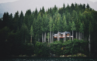 Hill house trees water boat - tree and water free wallpaper