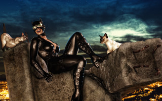 Cat suit galaxy night moon - two cat free wallpaper