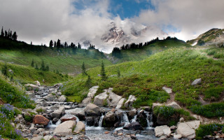 Lush green hillside river mountain - a stream free wallpaper