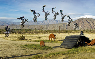 Motorcycle jumping over animals outdoors - a man free wallpaper for desktop