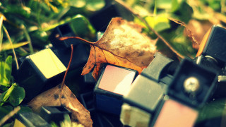 Camera leaves grass autumn blurry - a yellow leaf free wallpaper