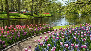 Park pond flowers people trees - a flemish baroque free wallpaper