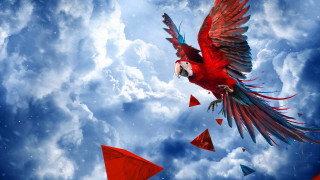 Red parrot flying abstract triangles - angular free wallpaper