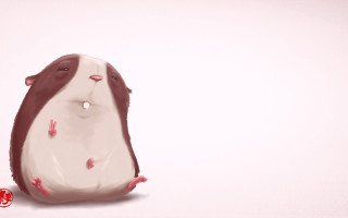 Guinea pig back tongue chinese - tongue free wallpaper