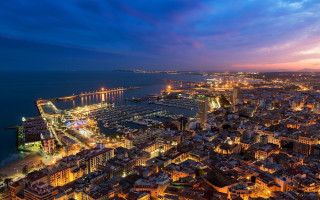 City night ocean harbor bridge - zenith view free wallpaper