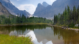Mountain lake forest pine grass - a mountain lake free wallpaper
