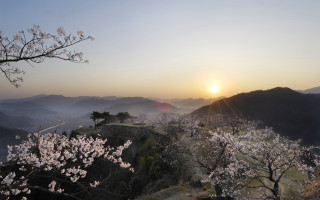 Sunset mountain blooming tree valley - dai xi free wallpaper