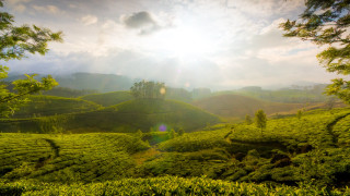Lush green hillside cloudy sky 3 - the cloud above free wallpaper