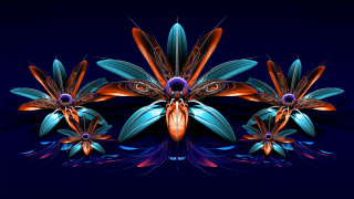 Blue butterfly insect wings digital - multiple free wallpaper