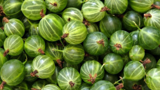 Green fruit leaves other fruits - a close up of a bunch free wallpaper