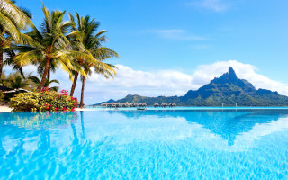 Large pool mountain palm trees - a large pool free wallpaper