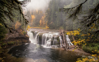 Waterfall forest fog autumn nature - a waterfall in the middle of a forest free wallpaper