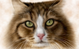 Cat closeup greeneyes whitefurry digitalpainting - a digital painting free wallpaper