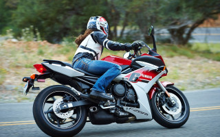 Woman motorcycle forest sunny digital - a forest of trees and bushes free wallpaper