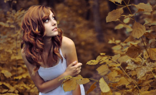 Forest gothic autumn woman bare - autumn free wallpaper