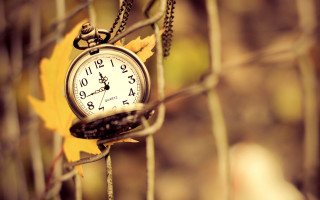 Clock fence leaf macro depth - a chain link fence free wallpaper