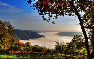 Valley foggy forested autumn mountains - a view of a valley free wallpaper